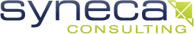 Syneca Consulting Logo